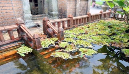 Blog