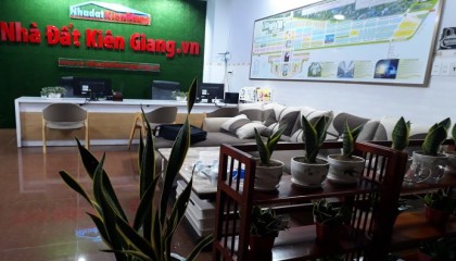 Blog
