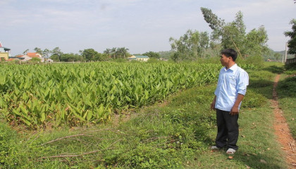 Blog