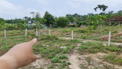 Blog