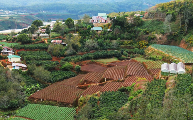 Blog