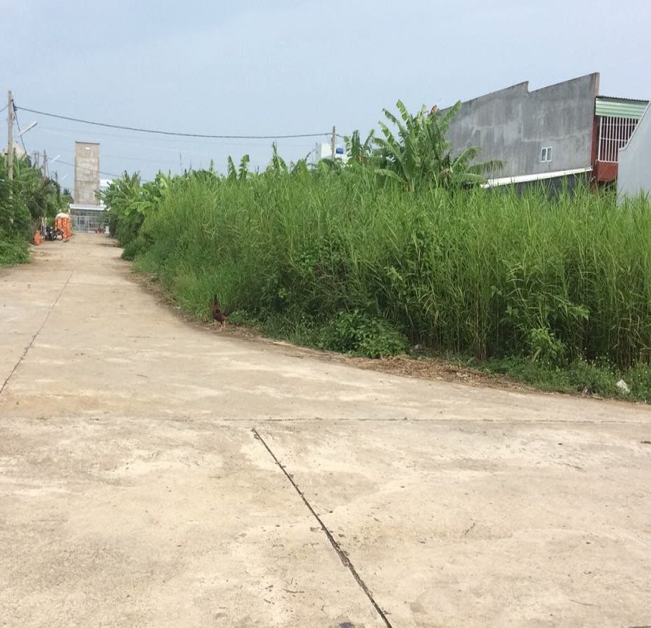 Bán gấp hai lô liền kề khu dân cư vượt lũ P.Vĩnh Thông.