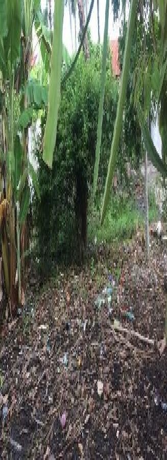 Bán đất hẻm 839 Nguyễn Trung Trực, Rạch Giá