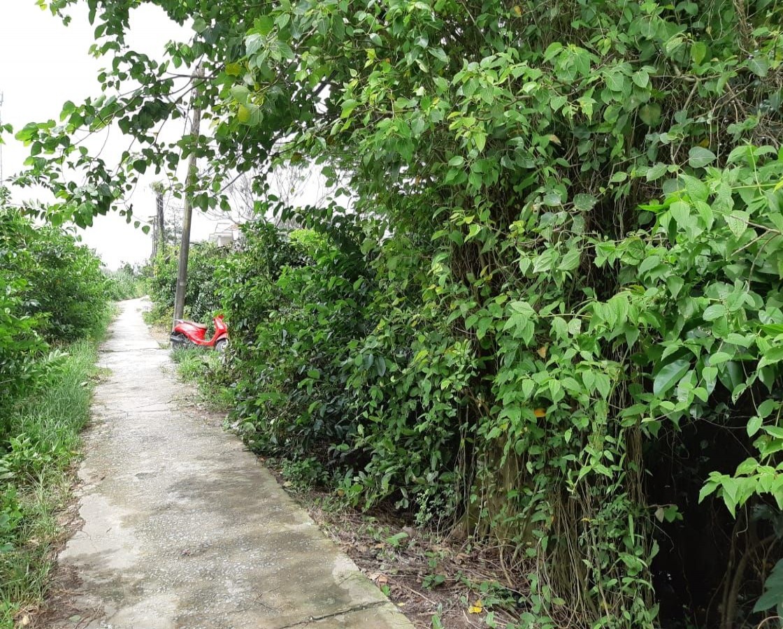 Bán nền thổ cư đường nhánh Huỳnh Tấn Phát, P.Vĩnh Hiệp,