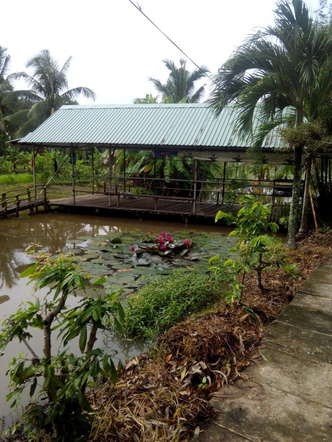 Cần bán 5800m2 đất mặt tiền quốc lộ 63 huyện Châu Thành, Tỉnh Kiên Giang