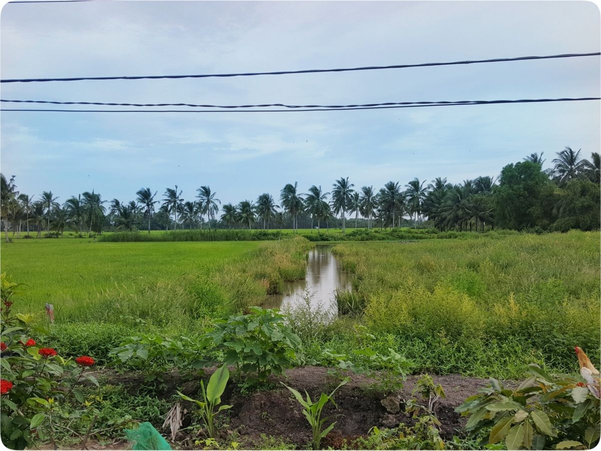 Đất vườn KP Vĩnh Viễn, Phường Vĩnh Hiệp, Rạch Giá, 5887m2