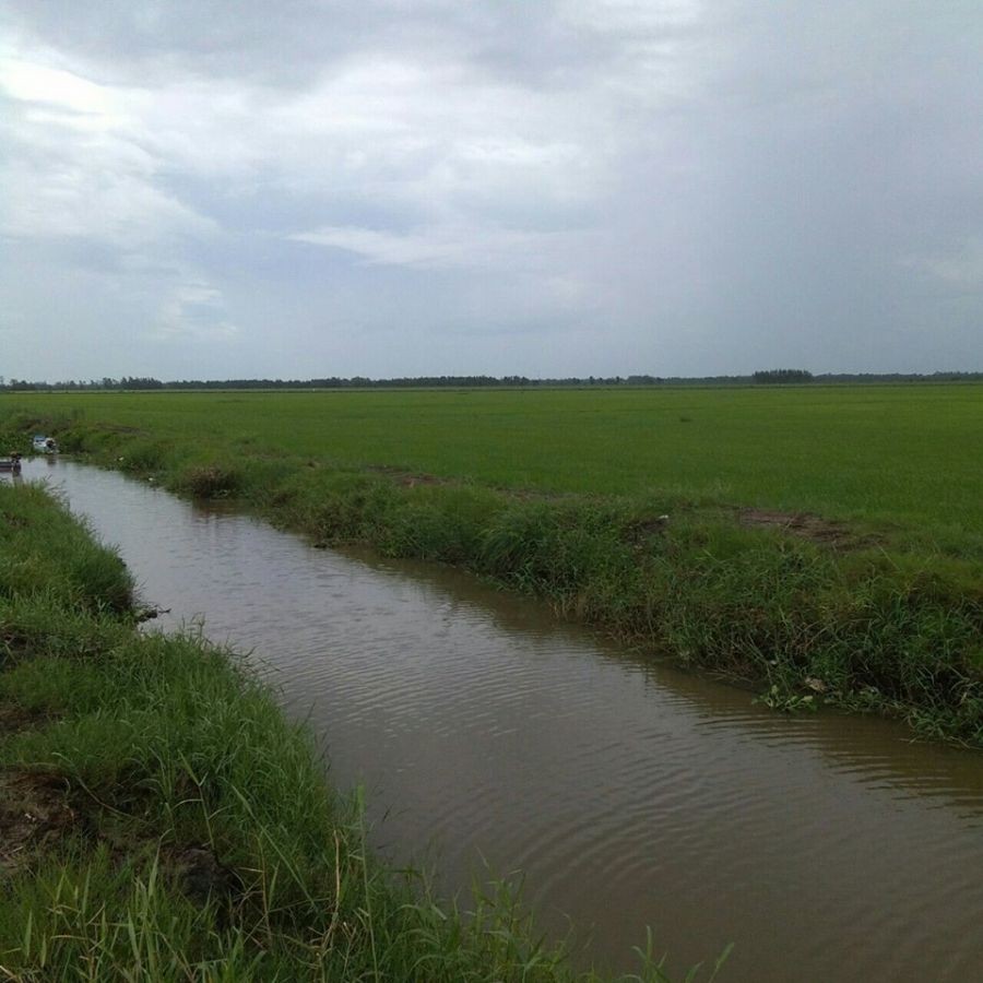 Đất ruộng, Thu Đông, Thới Quản, Gò Quao, Kiên Giang, 01242845696