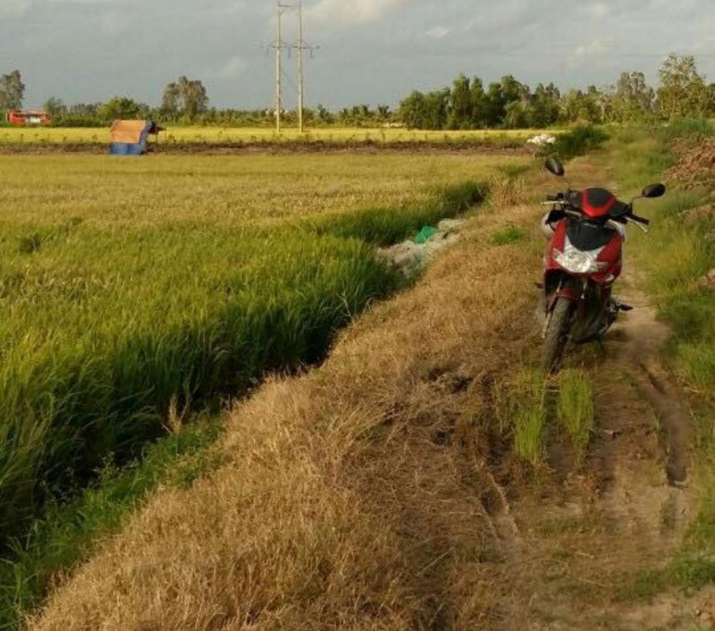 Cần bán đất ruộng đường Xuyên Á, 0919323296