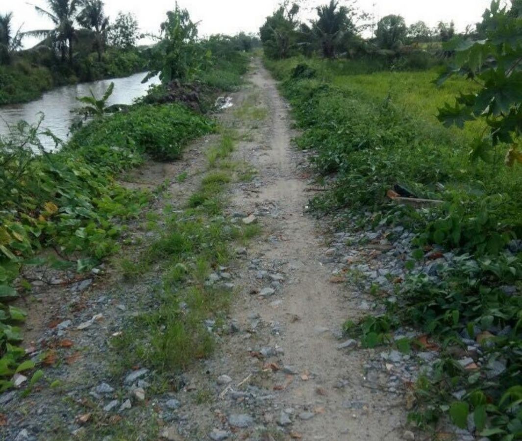 Cần bán đất ruộng đường Xuyên Á, 0919323296