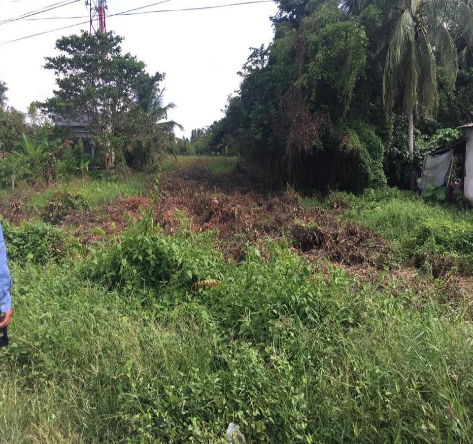 Bán gấp đất quốc lộ 61, Châu Thành, Kiên Giang, 0917412417