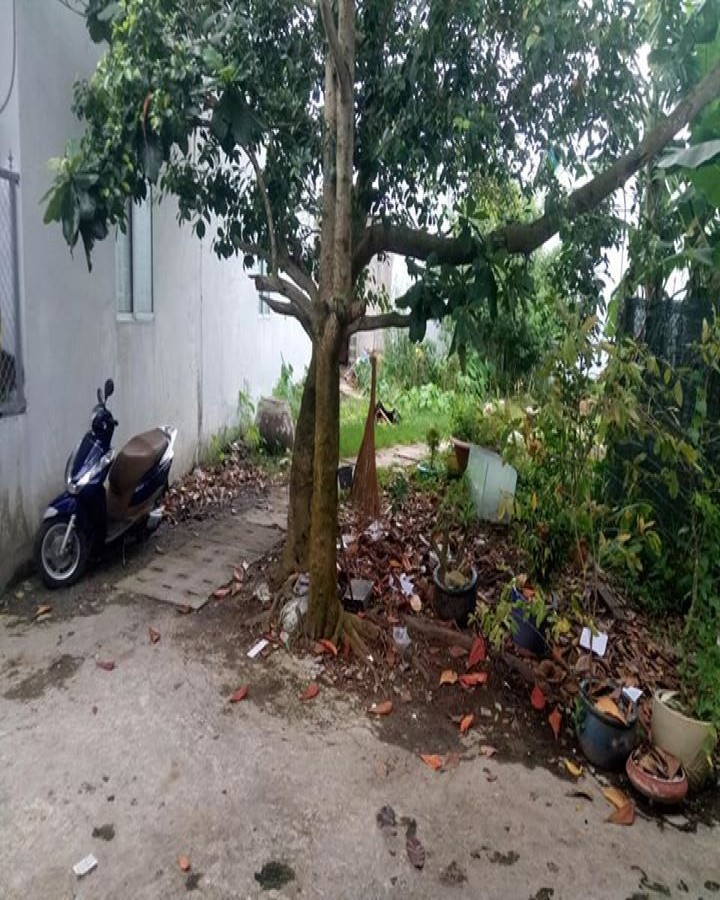 Bán đất nền 487/42 Nguyễn Trung Trực tp Rạch Giá Kiên Giang, 0901061127