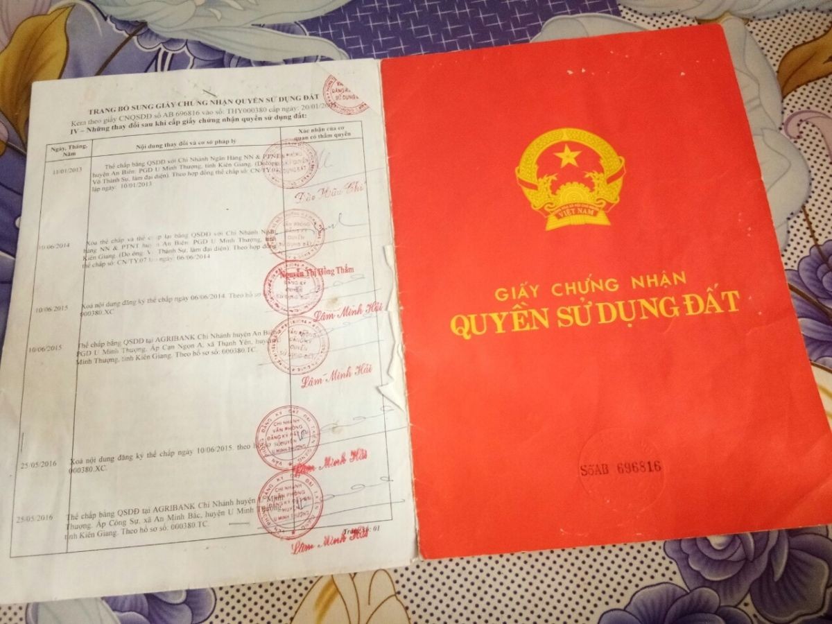 Bán căn nhà và quầy thuốc tây, Cạn Ngọn, Thạnh Yên,U Minh Thượng, 0944123722