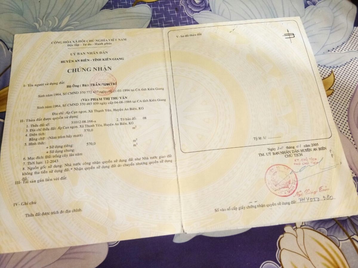 Bán căn nhà và quầy thuốc tây, Cạn Ngọn, Thạnh Yên,U Minh Thượng, 0944123722