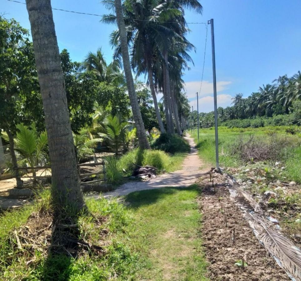 Đất ruộng Đào Duy Từ, Khu Phố 7, Rạch Sỏi, Kiên Giang, 30x50