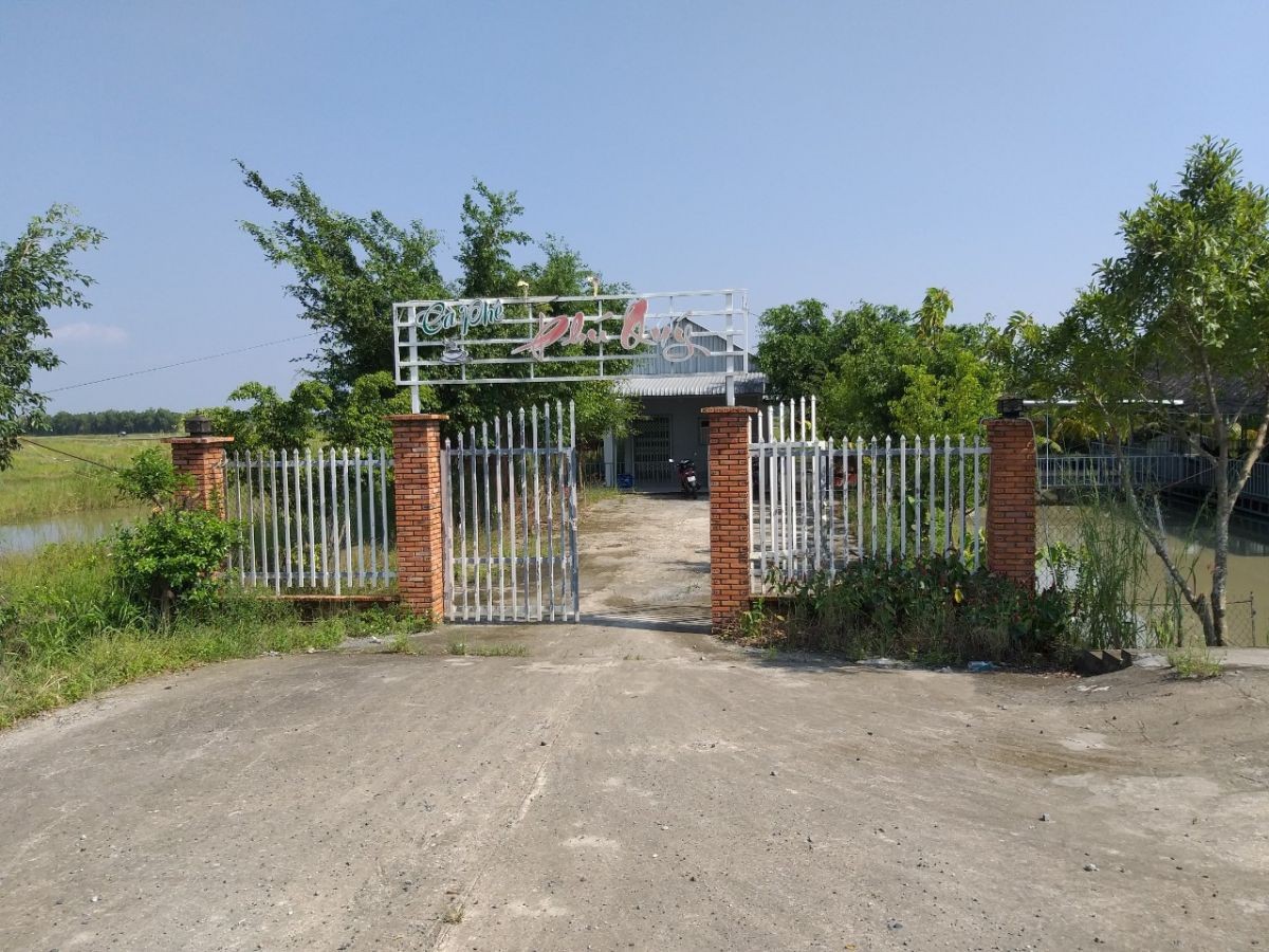 Cần Cho thuê Đất và Nhà, có thể mở quán tại Lộ Xuyên Á, ấp So Đũa, xã Vĩnh Hòa Hiệp, huyện Châu Thành, tỉnh Kiên GIang.