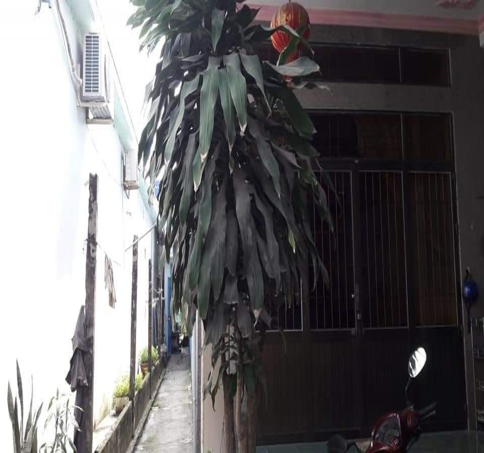 Cho thuê nhà nguyên căn, Quốc Lộ 61, Vĩnh Hòa Hiệp, Châu Thành, Kiên Giang, 0913751397