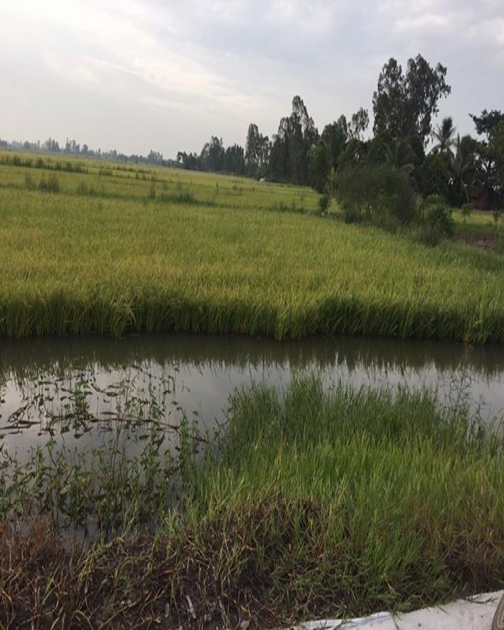 Bán đất 500m2 Tuyến tránh, Châu Thành, Rạch Giá, Kiên Giang, 0942227244