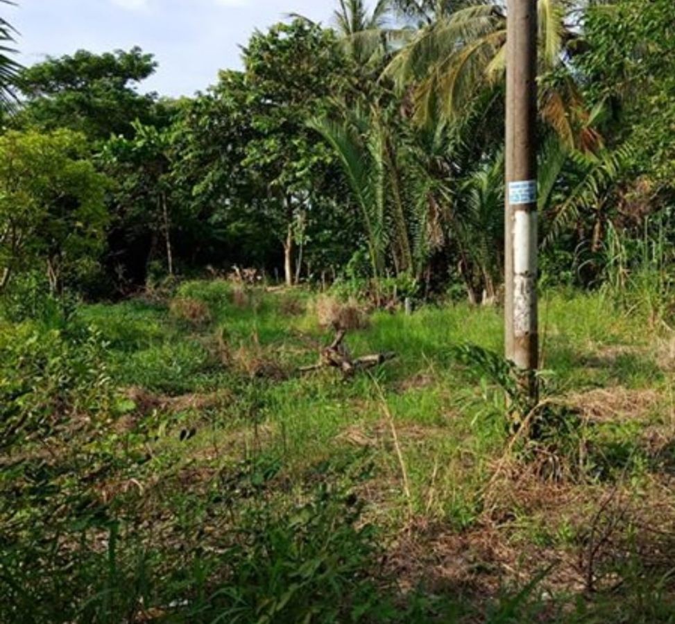 Bán gấp 610m2 đất Vĩnh Thông, Thành phố Rạch Giá, Kiên Giang, 0916757252