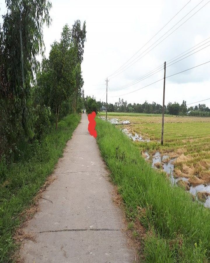 Bán đất ruộng kênh 5 Liêu, xã Phi Thông, Rạch Giá, Kiên Giang, 0915828080