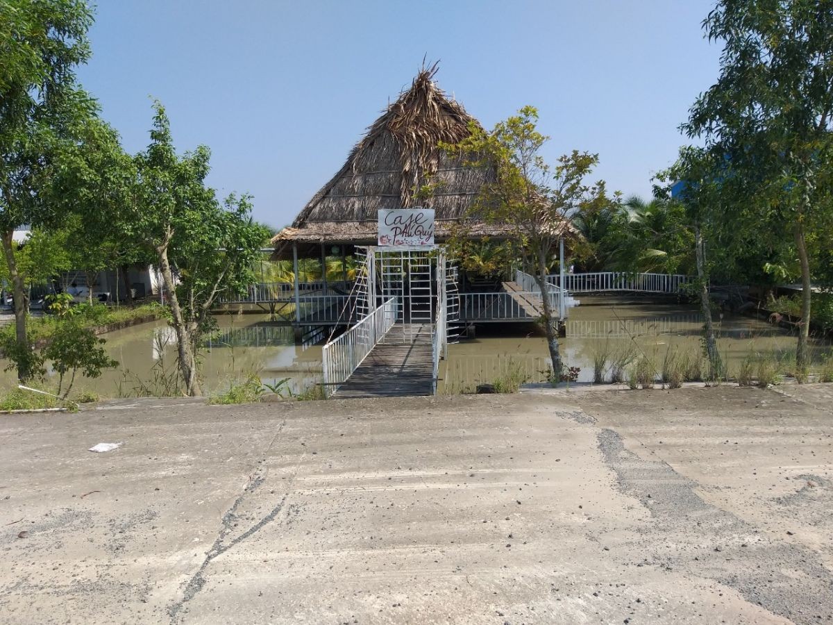 Cần Cho thuê Đất và Nhà, có thể mở quán tại Lộ Xuyên Á, ấp So Đũa, xã Vĩnh Hòa Hiệp, huyện Châu Thành, tỉnh Kiên GIang.
