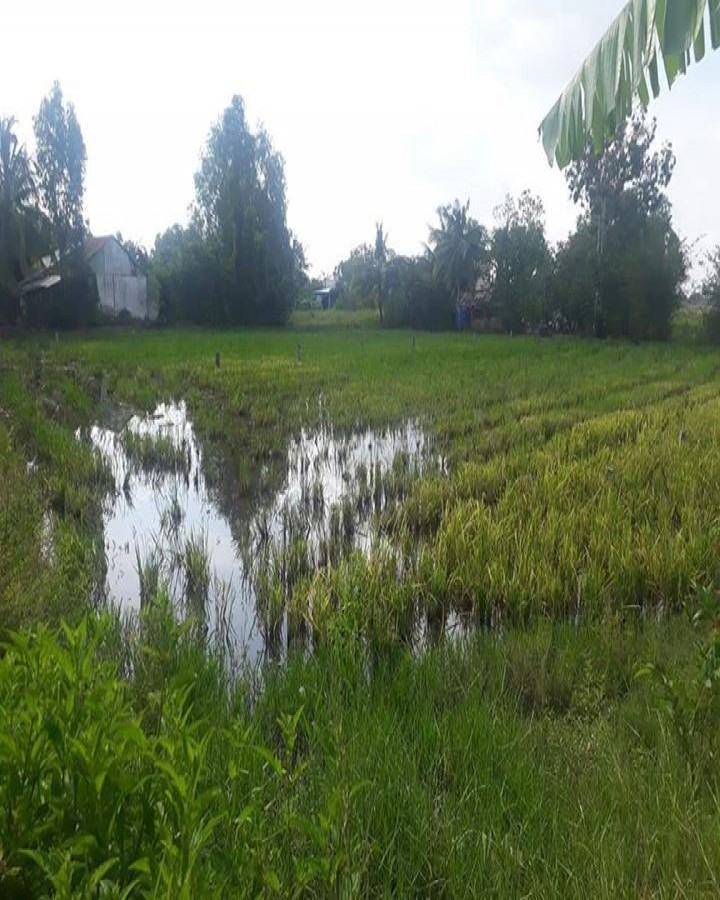 đất Hẻm 59 Trương Định, P. An Bình, Rạch Giá, Kiên Giang, 0947481868