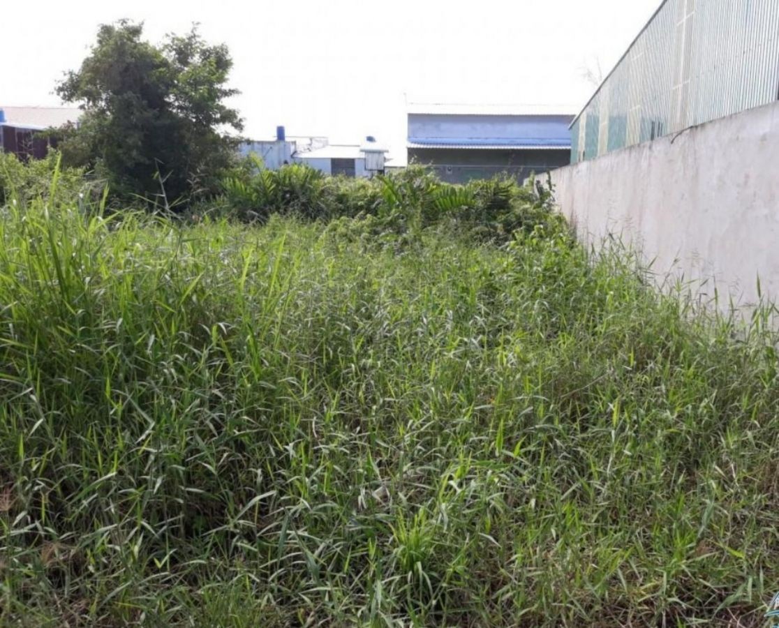 Bán đất tại khu dân cư thị trấn Minh Lương, Châu Thành, Kiên Giang, 0913999554