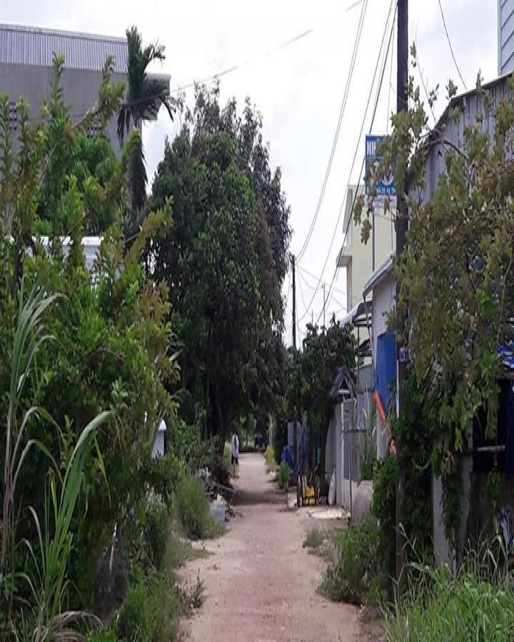 Đường Nguyễn Trung Ngạn, phường An Bình, Rạch Giá,Kiên Giang, 0976339436