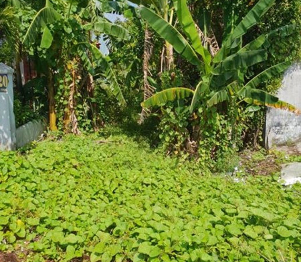 Đất Quang Trung, Thành Phố Rạch Giá, Kiên Giang, 0911644679