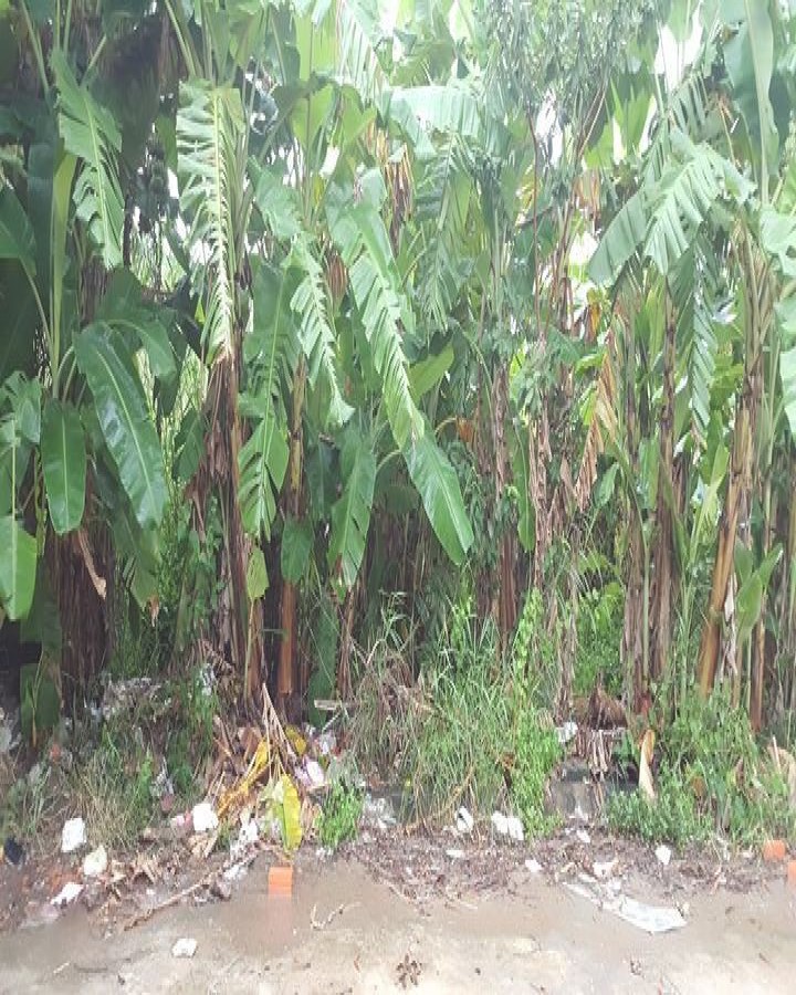 Cần bán đất  tại phường Vĩnh Thông, Rạch Giá, 0918017347.