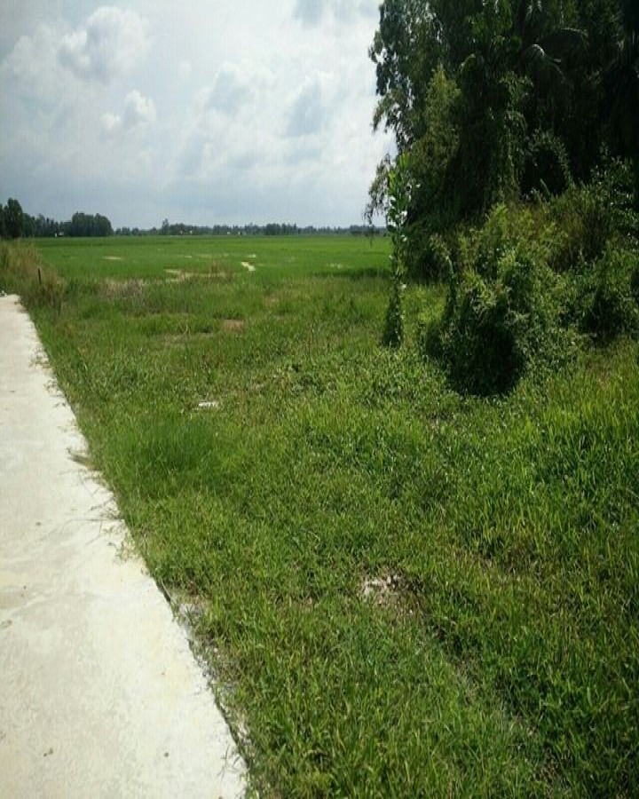 Bán đất Minh Lương, Châu Thành, Rạch Giá, Kiên Giang, 0941423942