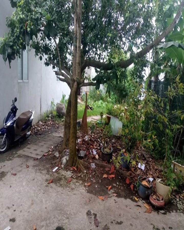Đât nền hẻm Chu Văn An, Vĩnh Lạc Rạch Giá, Kiên Giang, 0901061127