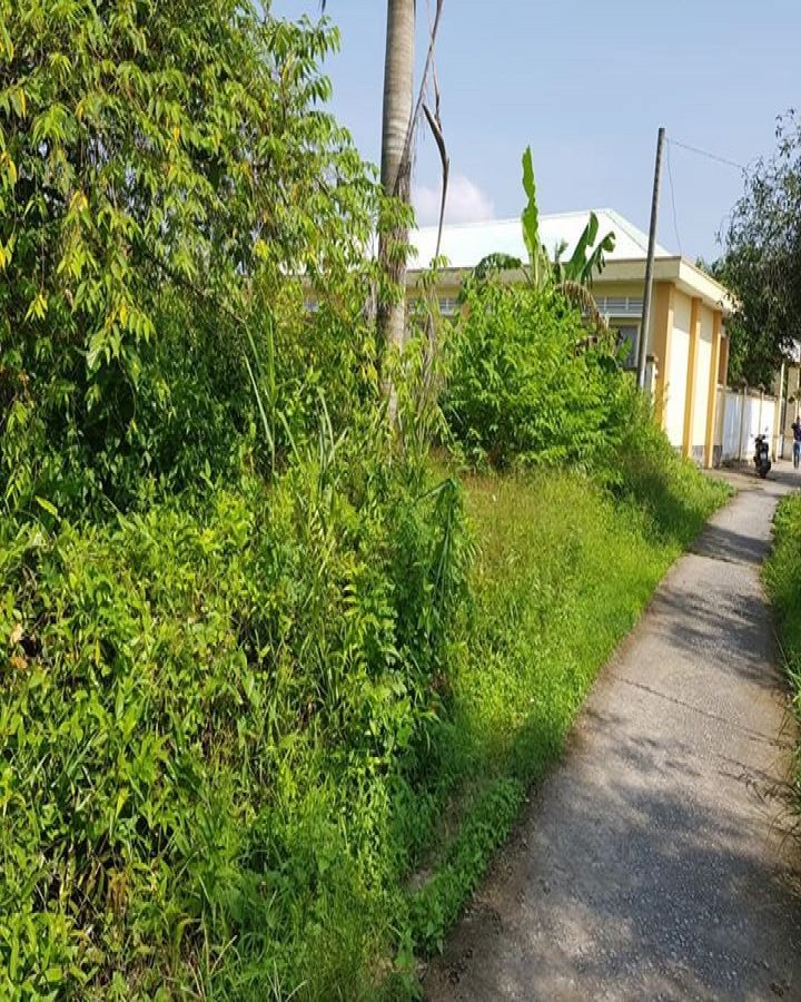 Bán đất kênh sau làng, Phước Hòa, Mong Thọ B, Châu Thành, Kiên Giang,  0914943637