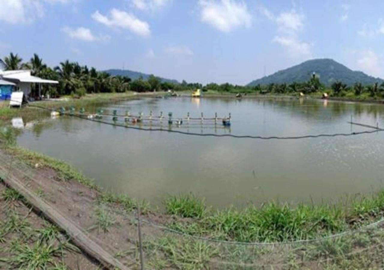 Bán Gấp 34 công. Ấp Hòn Đất, Xã Thổ Sơn, Huyện Hòn Đất, Kiên Giang, 0907492115
