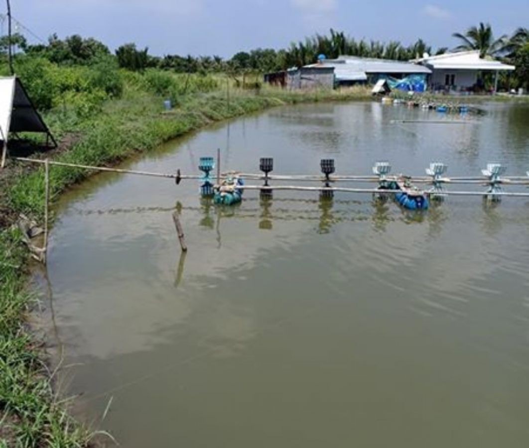 Bán Gấp 34 công. Ấp Hòn Đất, Xã Thổ Sơn, Huyện Hòn Đất, Kiên Giang, 0907492115
