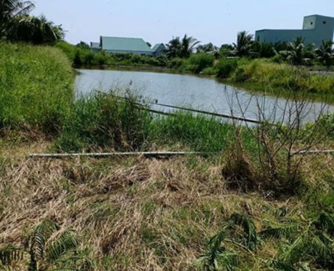 Bán Gấp 34 công. Ấp Hòn Đất, Xã Thổ Sơn, Huyện Hòn Đất, Kiên Giang, 0907492115