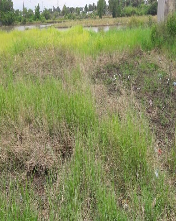 Nền hẽm 839, Nguyễn Trung Trực, An Hoà, Rạch Giá, 0942809908