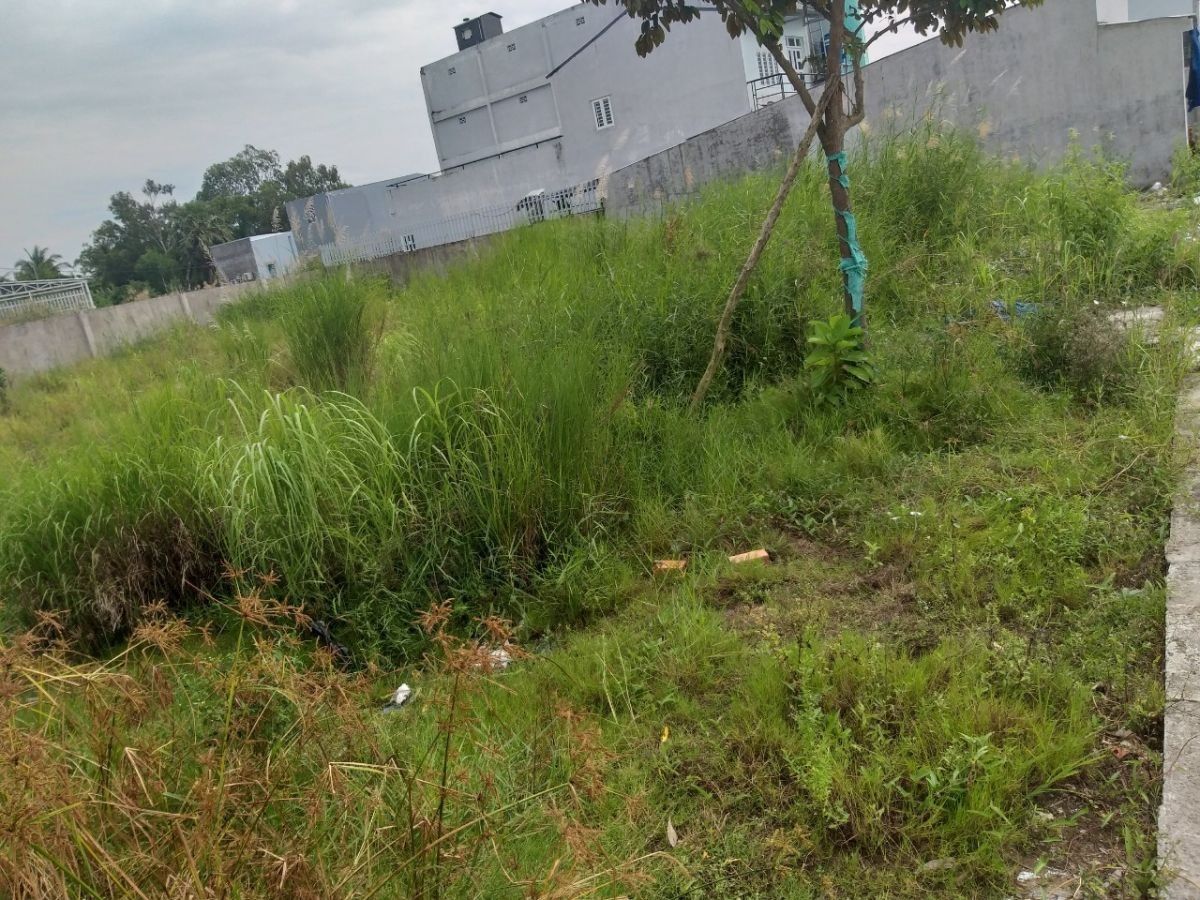  Bán 2 nền ấp Sua Đũa, Vĩnh Hòa Hiệp, Châu Thành, Kiên Giang, 5*30, 5xx triệu
