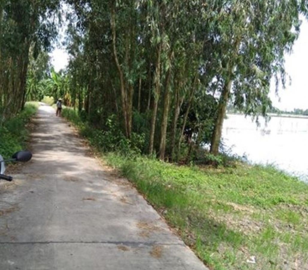 Bán 19 công đất ruộng , Mong Thọ B, Châu Thành, Kiên Giang, 0848400094