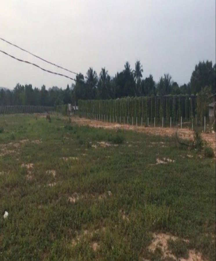xBán đất tại Đường Ba Trại, Dương Tơ, Huyện Phú Quốc, Kiên Giang, 0981013377