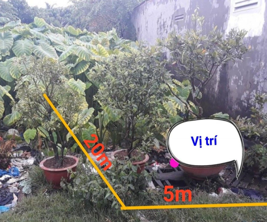 Đất nền hẻm 243 Nguyễn Chí Thanh, Rạch Sỏi, Rạch Giá, Kiên Giang, 5*20