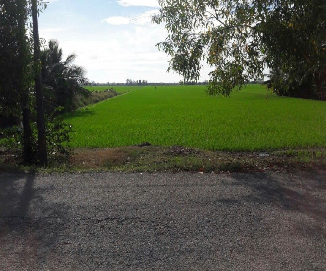 Bán đất ruộng gần 9000m2, Mương Kinh, Sơn Bình, Hòn Đất, Kiên Giang, 0977450411