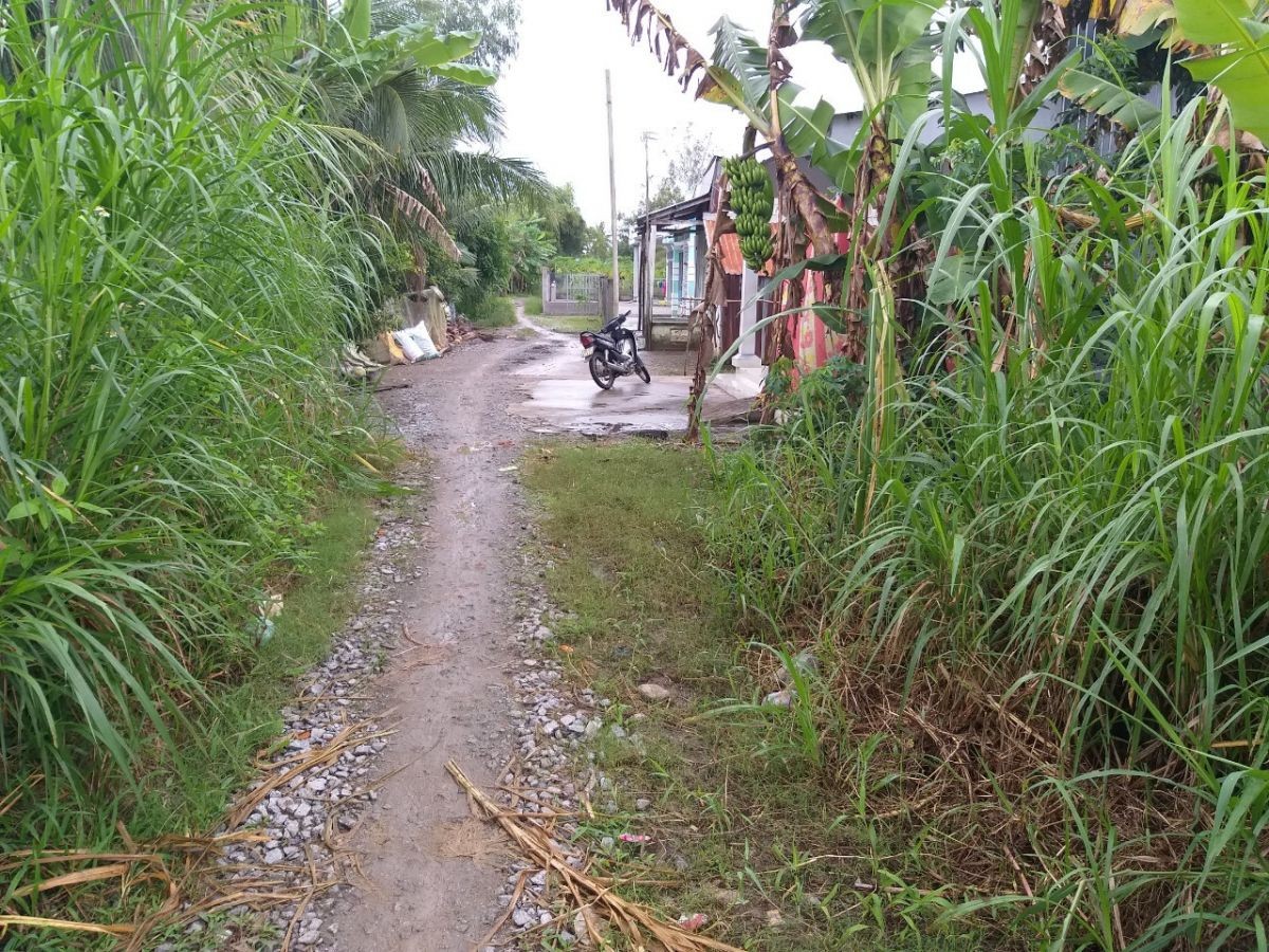 Đất nền Thạnh Bình, Thạnh Lộc, Châu Thành, Kiên Giang, 6*37, 390tr      (MSNV 02)