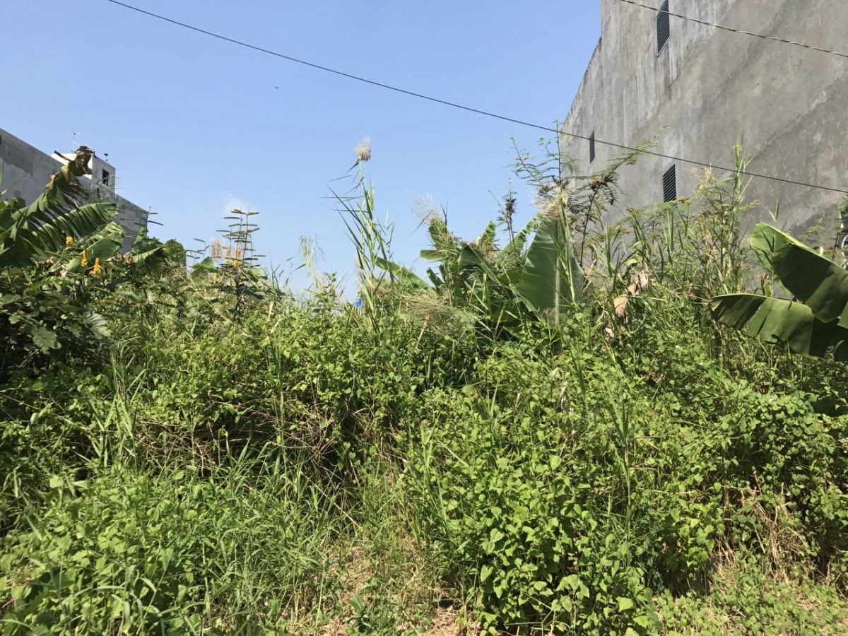 Bán 2 đất lô DC3 đường Nguyễn Sáng, Vĩnh Thông, Rạch Giá, Kiên Giang, 5*22m, 9xx tr.   (MSNV 02)