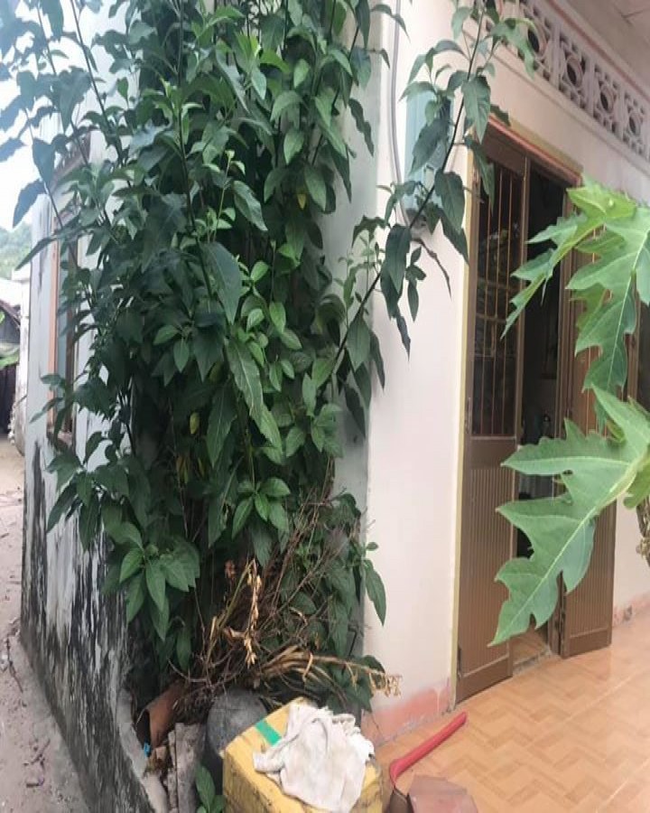 Bán nhà ở Lại sơn, Kiên Hải, Kiên Giang, 0886216772
