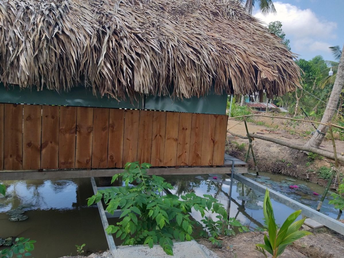 BÁN ĐẤT KHU PHỐ VĨNH VIỄN, VĨNH HIỆP, RẠCH GIÁ, KIÊN GIANG, 705m2, 2.3 TỶ.    (MSNV 02)