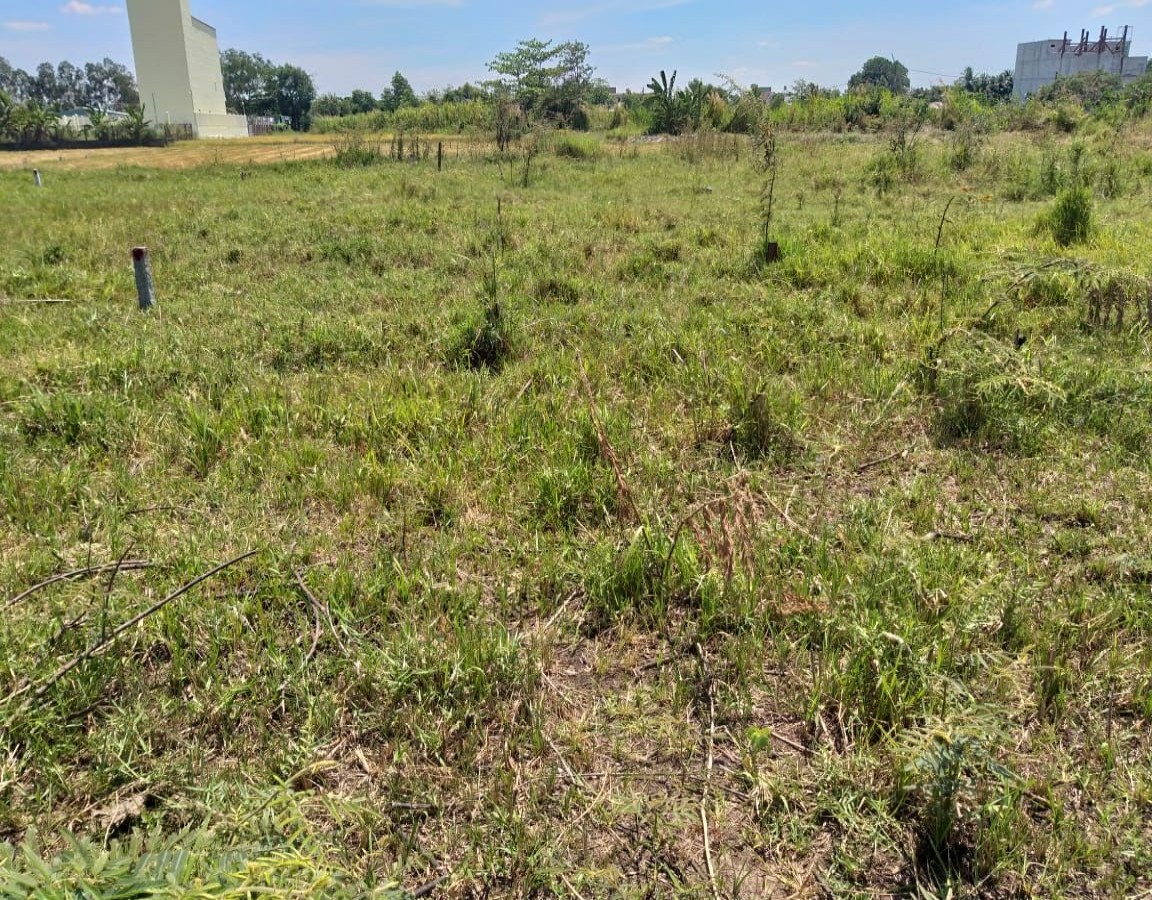 BÁN 2 LÔ ĐẤT THỔ CƯ TDC VĨNH QUANG, RẠCH GIÁ, KIÊN GIANG, 10*18m, 1.3 TỶ   (MSNV 05)