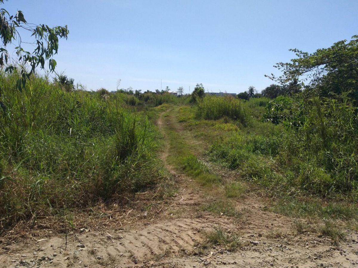 BÁN ĐẤT LÚA ĐƯỜNG KÊNH VÀNH ĐAI, VĨNH HỆP, RẠCH GIÁ, KIÊN GANG, 10*115m, 1.4 TỶ   (MSNV 07)