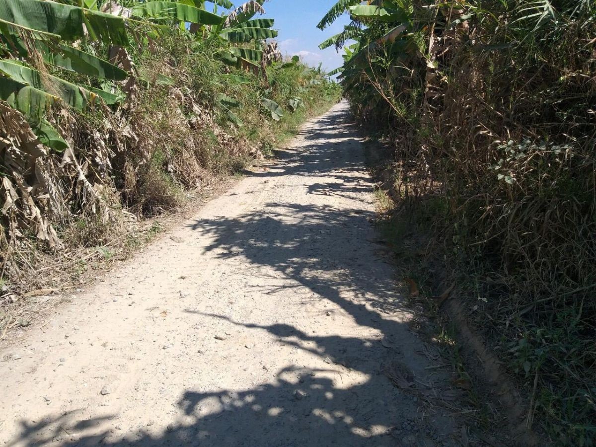 BÁN ĐẤT LÚA ĐƯỜNG KÊNH VÀNH ĐAI, VĨNH HỆP, RẠCH GIÁ, KIÊN GANG, 10*115m, 1.4 TỶ   (MSNV 07)