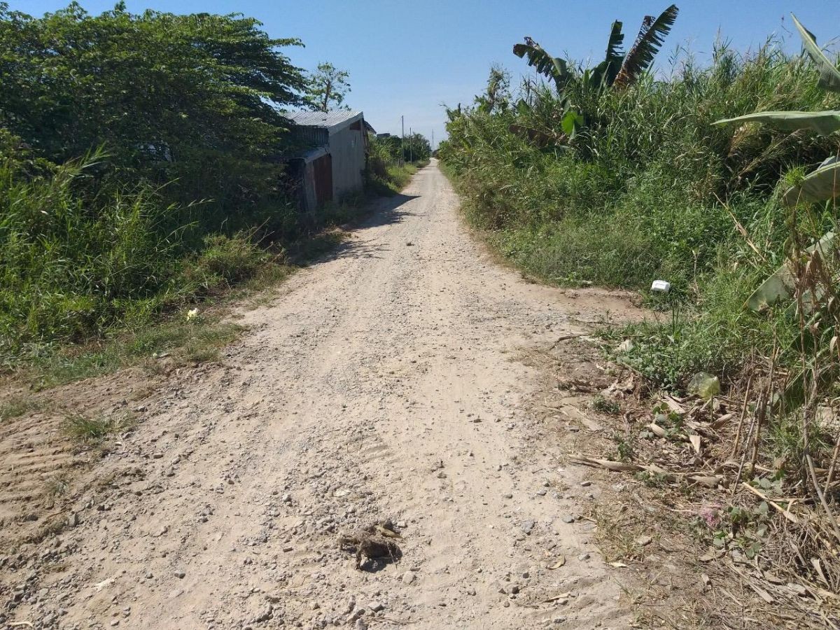 BÁN ĐẤT LÚA ĐƯỜNG KÊNH VÀNH ĐAI, VĨNH HỆP, RẠCH GIÁ, KIÊN GANG, 10*115m, 1.4 TỶ   (MSNV 07)