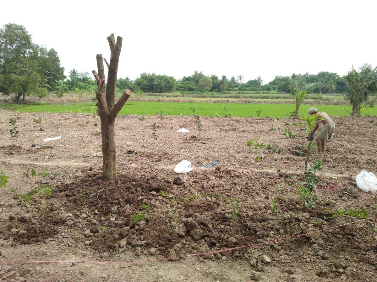 Bán đất cách tuyến tránh 200m
